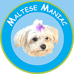 Maltese Dog Logo