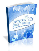 Most Comprehensive Puppy Training Resource