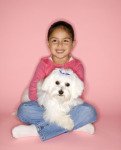 Finding the right breed dog