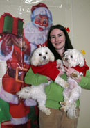 Two Maltese Dogs