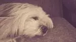 Our sweet heart 
