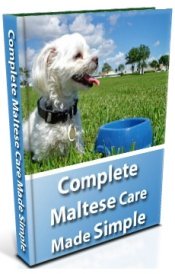 Complete Maltese Care Made Simple eBook