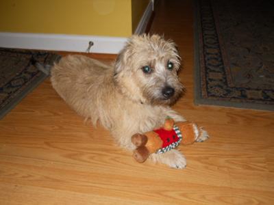 Max with his first toy!