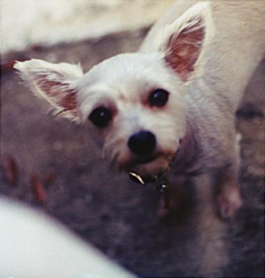 Emmitt in his youth