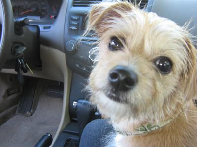 Riding in the car
