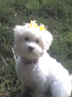 Mitzi @ 6 months