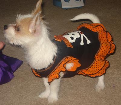 Halloween 2008