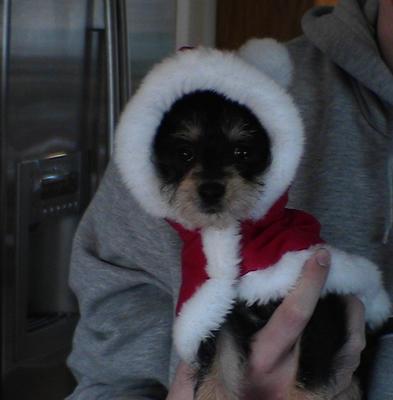 Cole in a Santa suit! How cute?