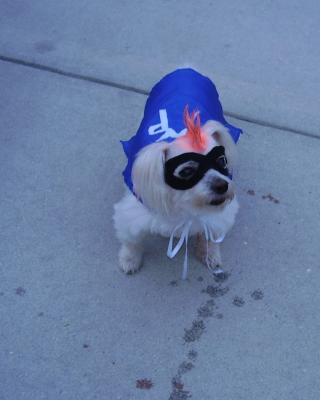 Cosmo dressed as his alter ego The Wonder Puddy at Halloween 2007