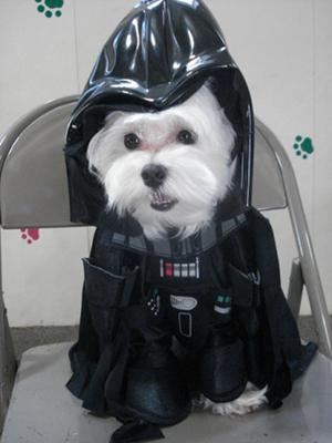 McDreamy as McVader! I mean, Darth Vader!