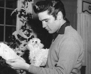 Elvis Presley Maltese dog