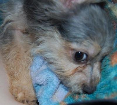 Isn't he cute?