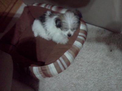 Axel sleeping in his bed