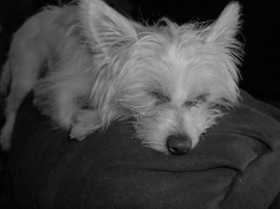 Sweet dreams!