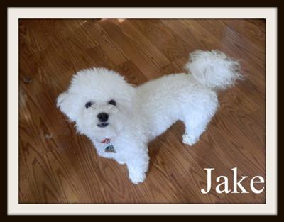 Jake