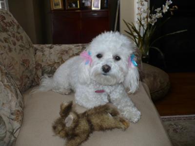 Libby with her toy