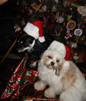 xmas 2011