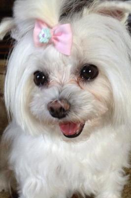 Pebbles Gilbert 