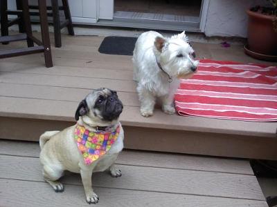 Molly and her cousin Rosie