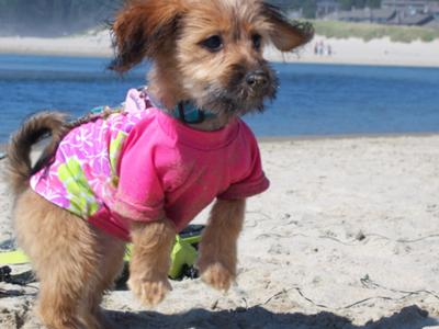 Day at the beach