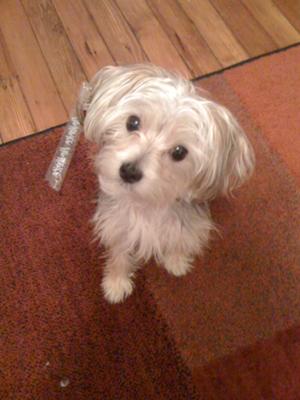 Stole a freezepop! Caught redhanded!