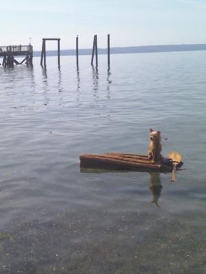 Wilson goes rafting Summer 2009
