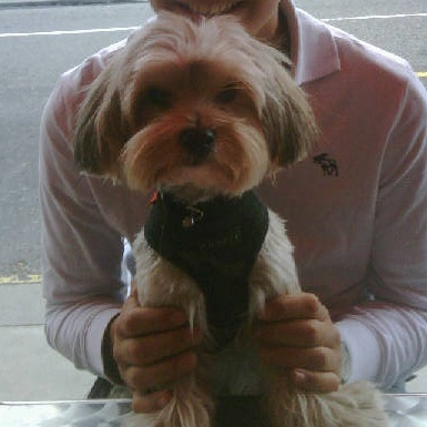 Harvey with my brother outside his favourite London cafe