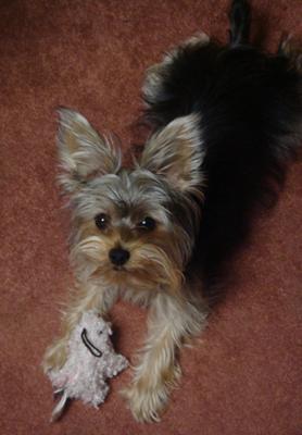 Just me and my piggy.