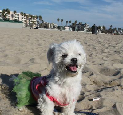 Yanno, just chilling on the beach.