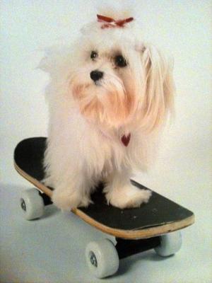 On her skate board!