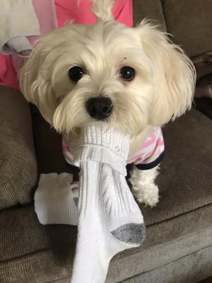 Helping Mommy with laundry 