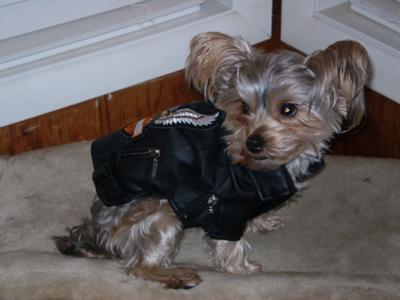 Biker Milo