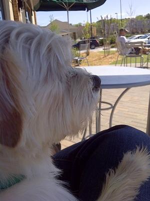 Cosmopolitan Sebastian