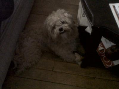 Before his hair cut