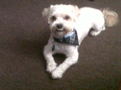 After his hair cut!