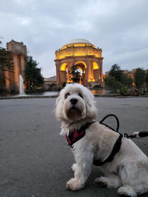 Princess Lulu at the Palace of Fine Arts