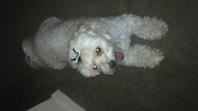 Our 1st baby, Lucy 