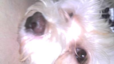 Day dreamingg