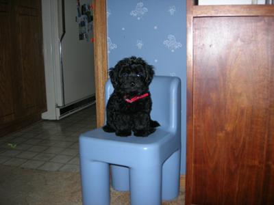  8 weeks and almost 3 pounds