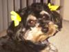 Dodi Ross - 3 years old