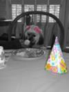 Of course we had a party!