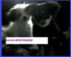 web camming and love to type! lol