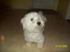 Buddy!