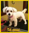 kiki groomed