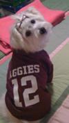 Lilly ready for game day!