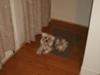 waiting for me to fix dinner......
