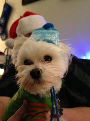 Merry Christmas!!