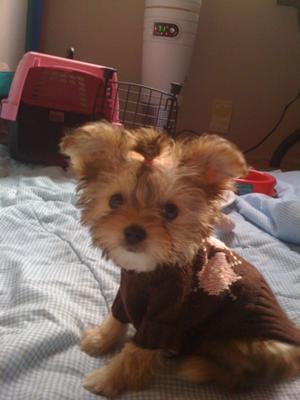 Ayla 10 weeks