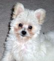 DaVinci posing for the camera!