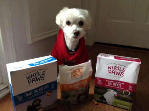 Find out if Whole Paws dog treats get a good review from a Maltese dog.